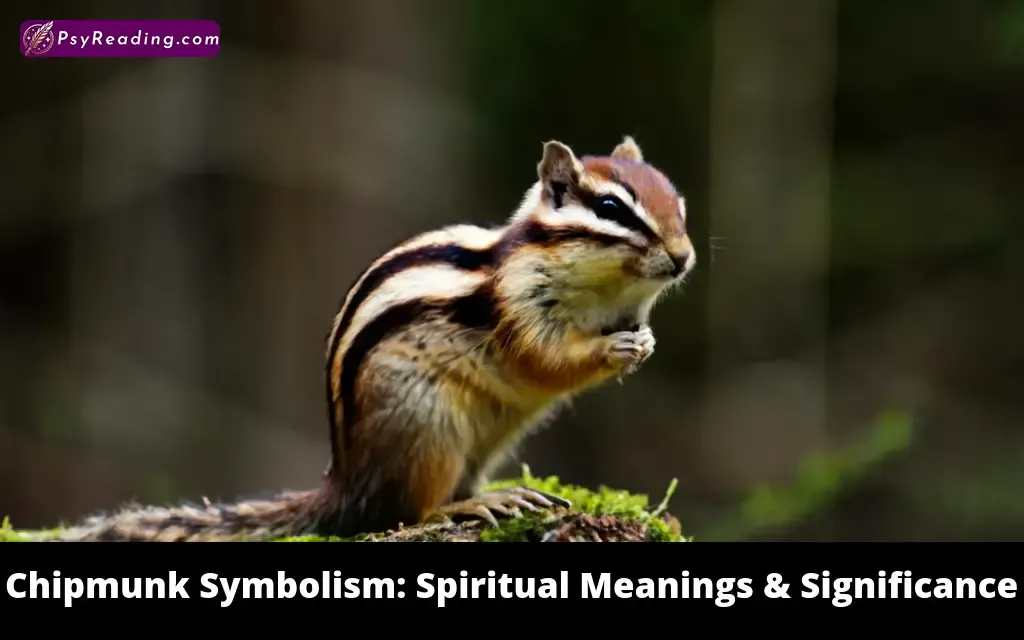 Chipmunk Symbolism: Spiritual Meanings & Significance